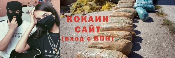 дживик Заводоуковск