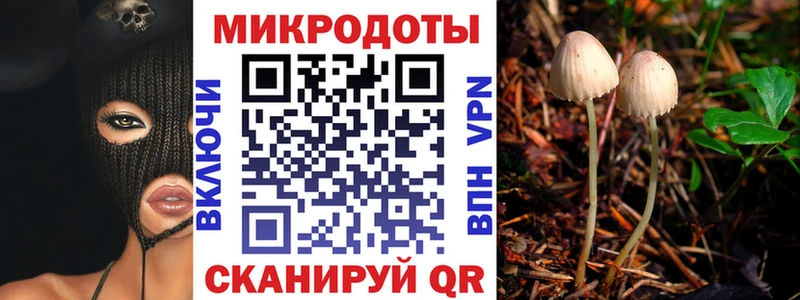 Псилоцибиновые грибы Psilocybine cubensis  Купить  Махачкала 